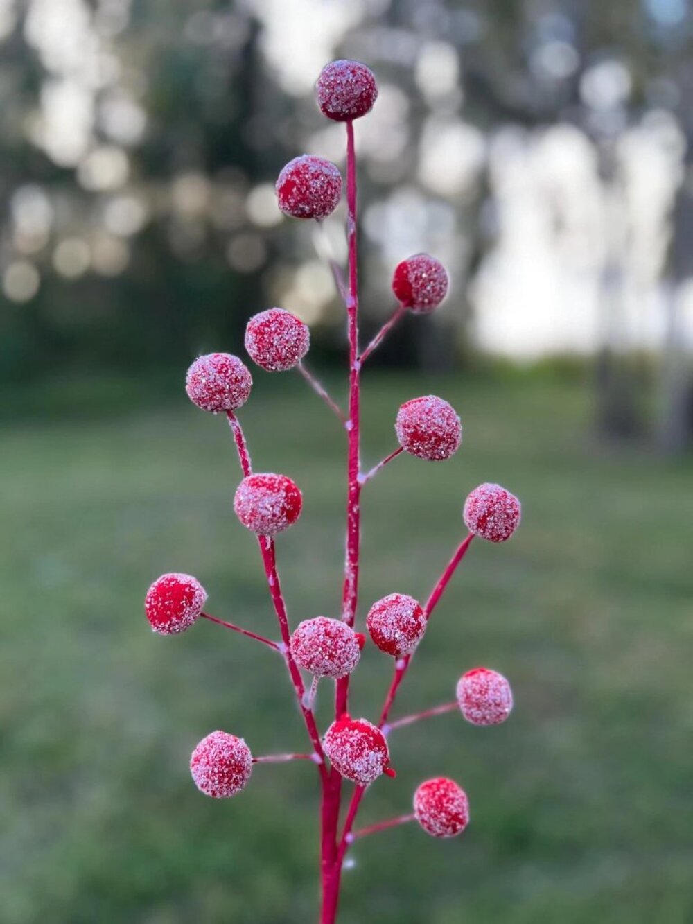 21" Red Pom Pom Spray with Snow Glitter Valentine's Christmas Pick Stem Crafts